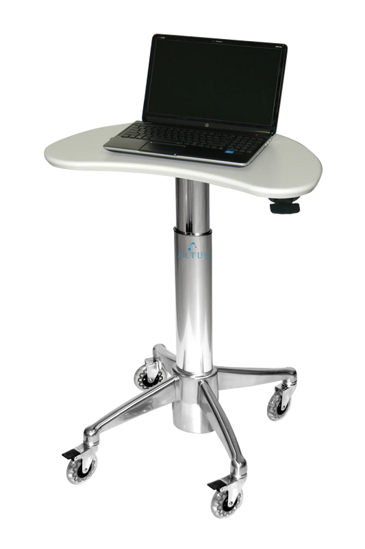 Mobile Laptop Desk Kidney